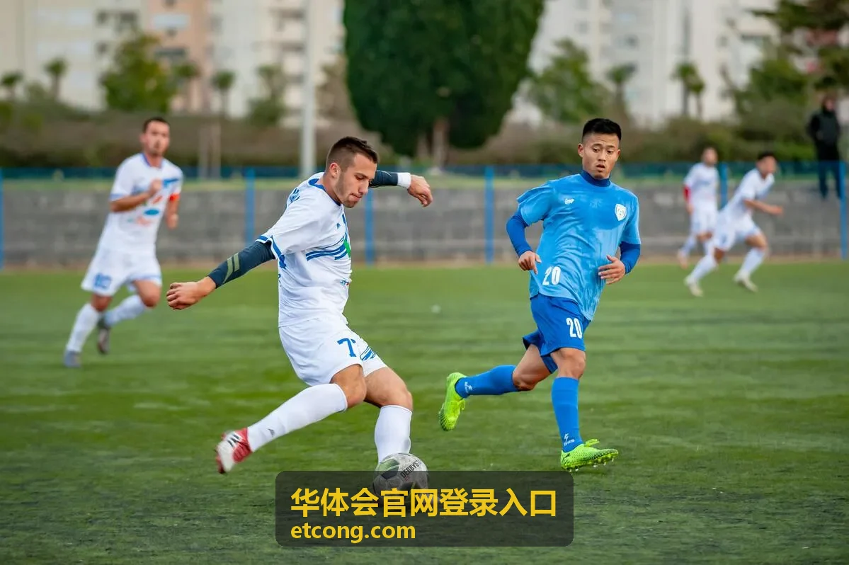 华体会官网登录入口第一步打开页面的示意界面