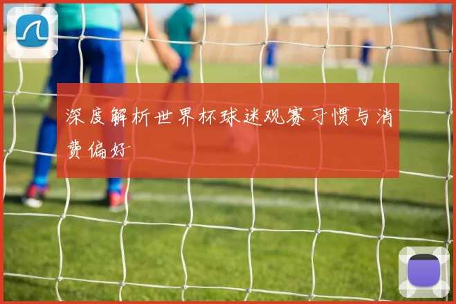 深度解析世界杯球迷观赛习惯与消费偏好