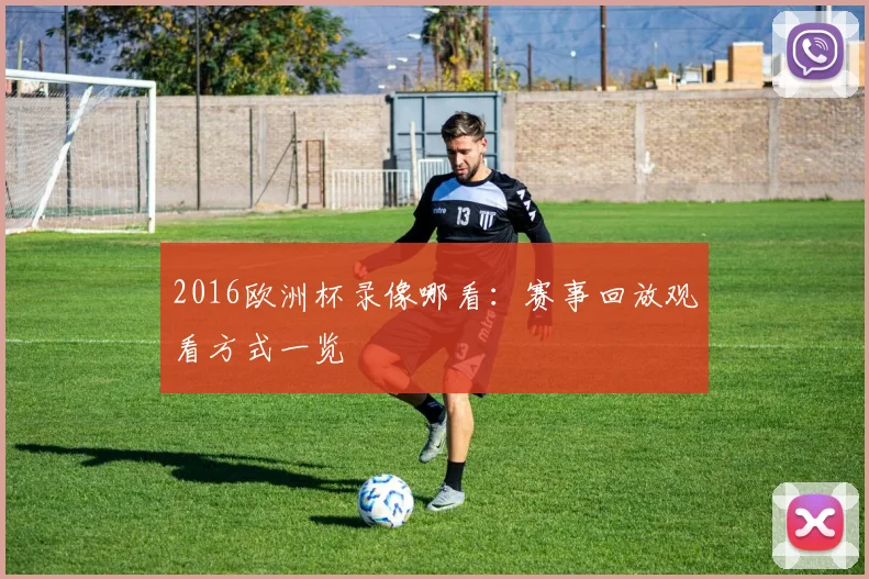 2016欧洲杯录像哪看：赛事回放观看方式一览