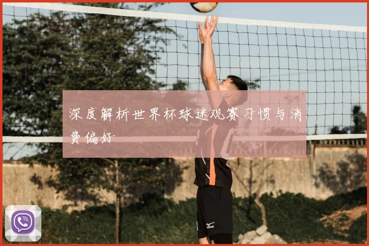 深度解析世界杯球迷观赛习惯与消费偏好