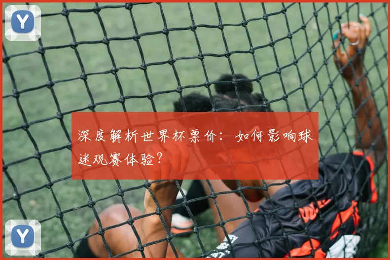 深度解析世界杯票价：如何影响球迷观赛体验？
