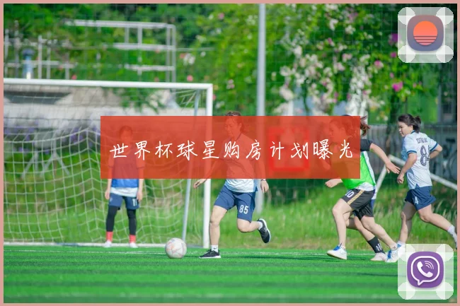世界杯球星购房计划曝光