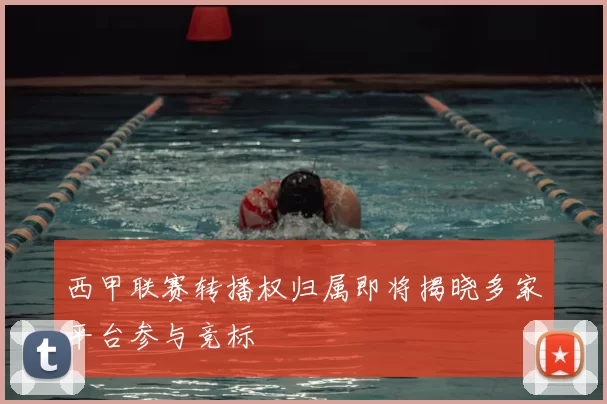 西甲联赛转播权归属即将揭晓多家平台参与竞标