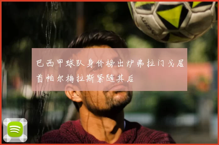 巴西甲球队身价榜出炉弗拉门戈居首帕尔梅拉斯紧随其后