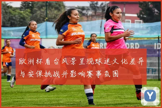 欧洲杯看台风景呈现球迷文化差异与安保挑战并影响赛事氛围