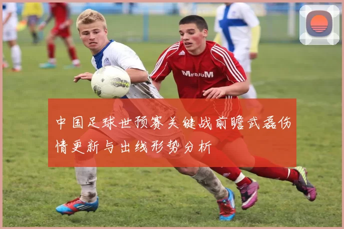 中国足球世预赛关键战前瞻武磊伤情更新与出线形势分析