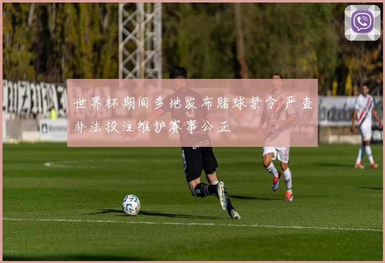世界杯期间多地发布赌球禁令 严查非法投注维护赛事公正