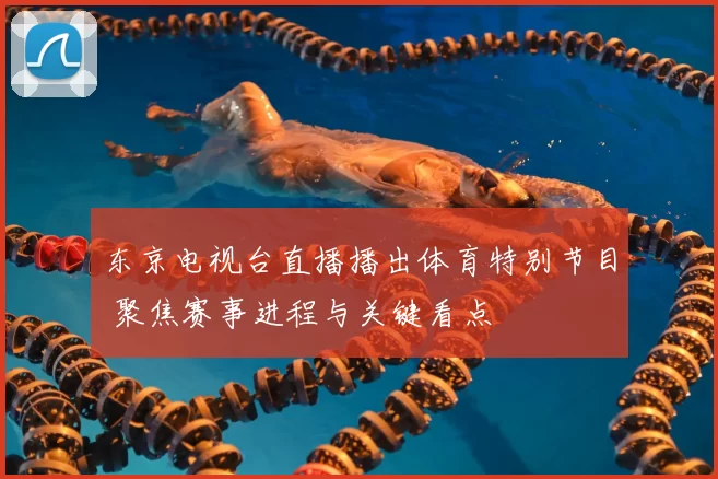东京电视台直播播出体育特别节目 聚焦赛事进程与关键看点