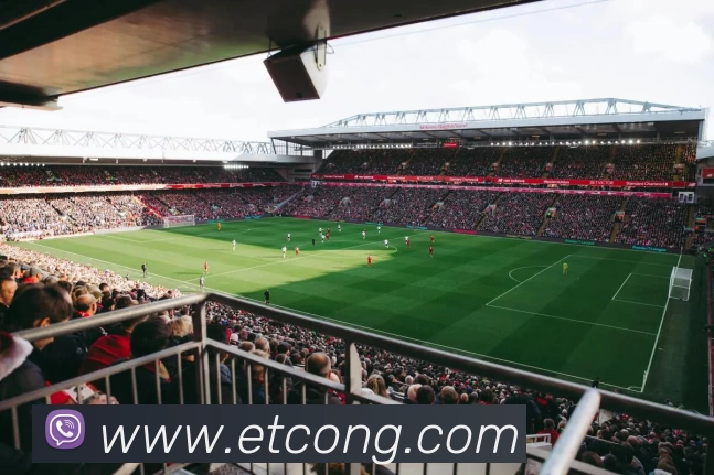 App Interface Preview